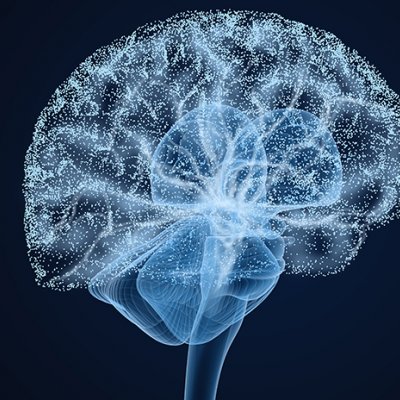 A graphic depiction of a brain in light blue on a dark background